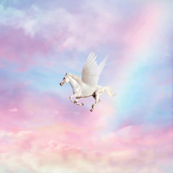 Cloudy Sunsets: Pegasus by Erin Summer