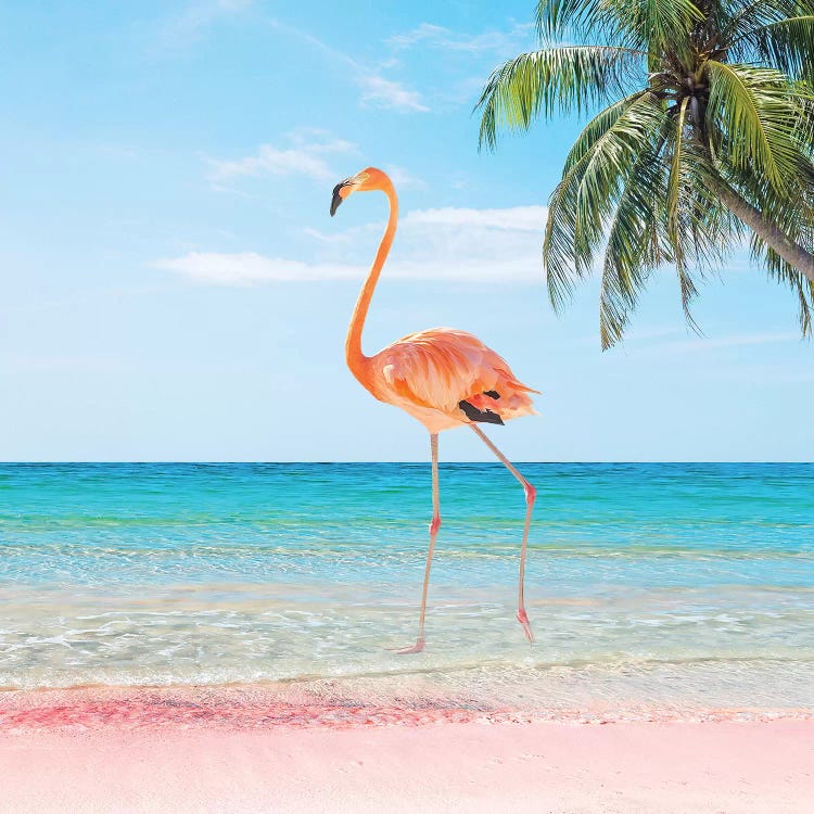 Beach Strut by Erin Summer wall art