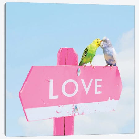 Love Birds Canvas Print #ESM91} by Erin Summer Canvas Art