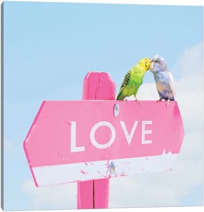 Love Birds Canvas Art Print - Parakeet Art