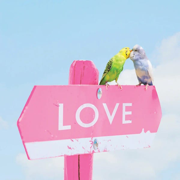 Erin Summer: Love Birds by Erin Summer