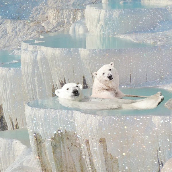 The Glitterati: Polar Bear Dip by Erin Summer