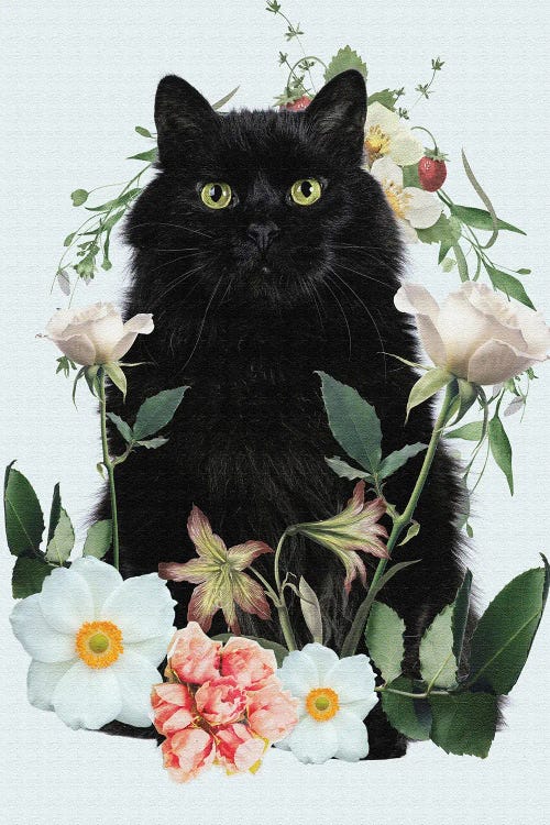 Cat Floral