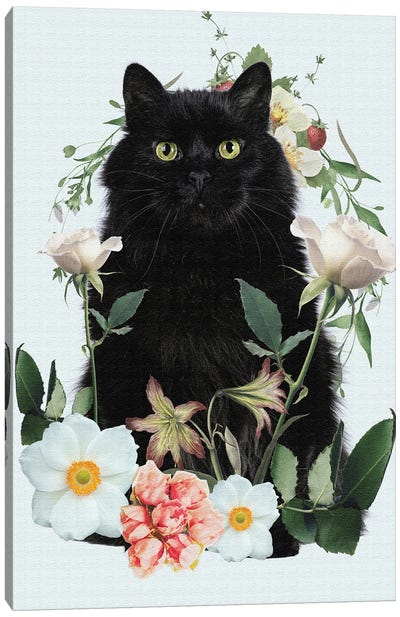 Cat Floral Canvas Art Print - Black Cat Art