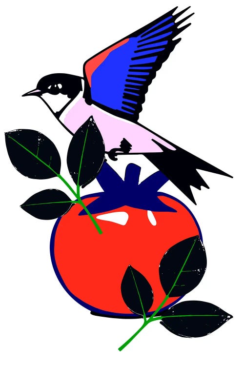 Colorful Bird by Edson Ramos wall art