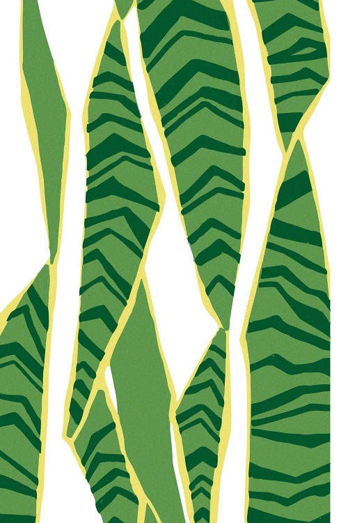 Abstract Geometric Patterns