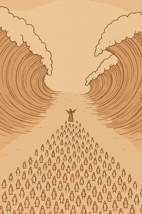 Opening Sea by Edson Ramos wall art