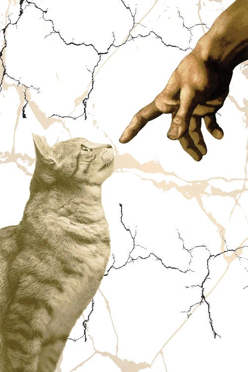 The Creation Of Adam Cat