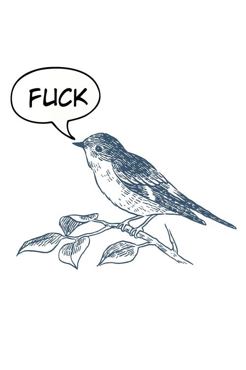 F**k Bird by Edson Ramos wall art
