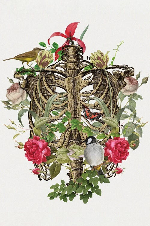Floral Thorax