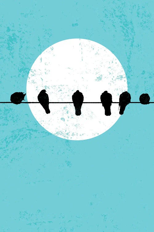 Bird Silhouettes