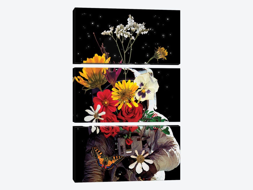 Astronaut Flowers Collage Art by Edson Ramos 3-piece Canvas Art Print