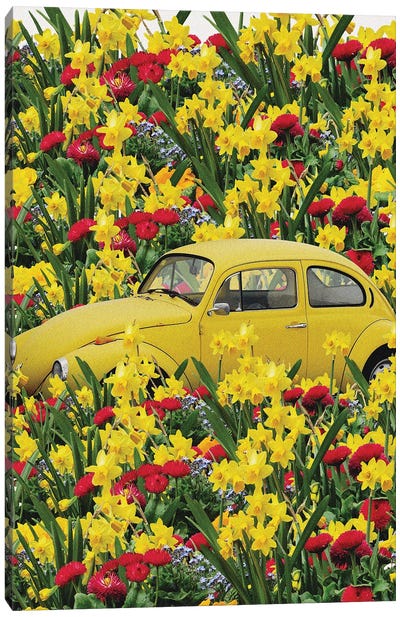 Yellow Beetle Canvas Art Print - Volkswagen