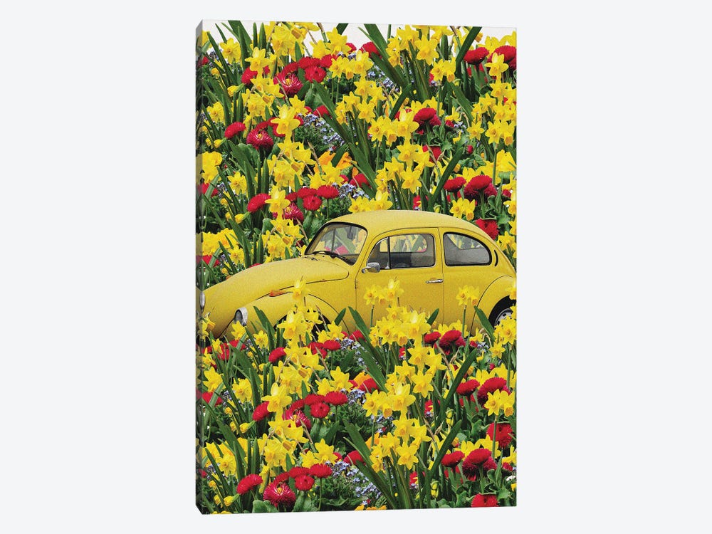 Yellow Beetle by Edson Ramos 1-piece Canvas Art
