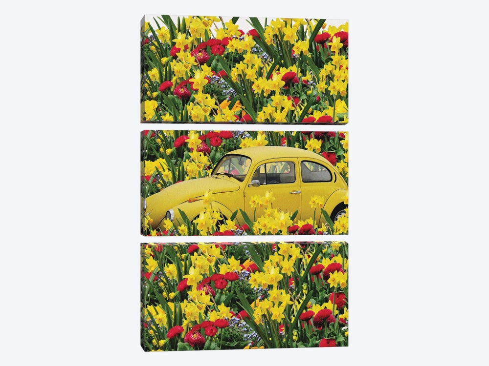 Yellow Beetle by Edson Ramos 3-piece Canvas Artwork