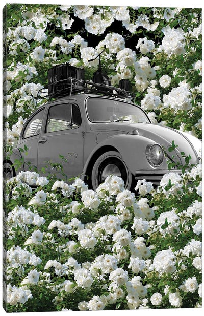 White Beetle Canvas Art Print - Volkswagen