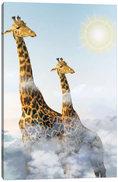 Giraffes And Clouds Canvas Art Print - Edson Ramos