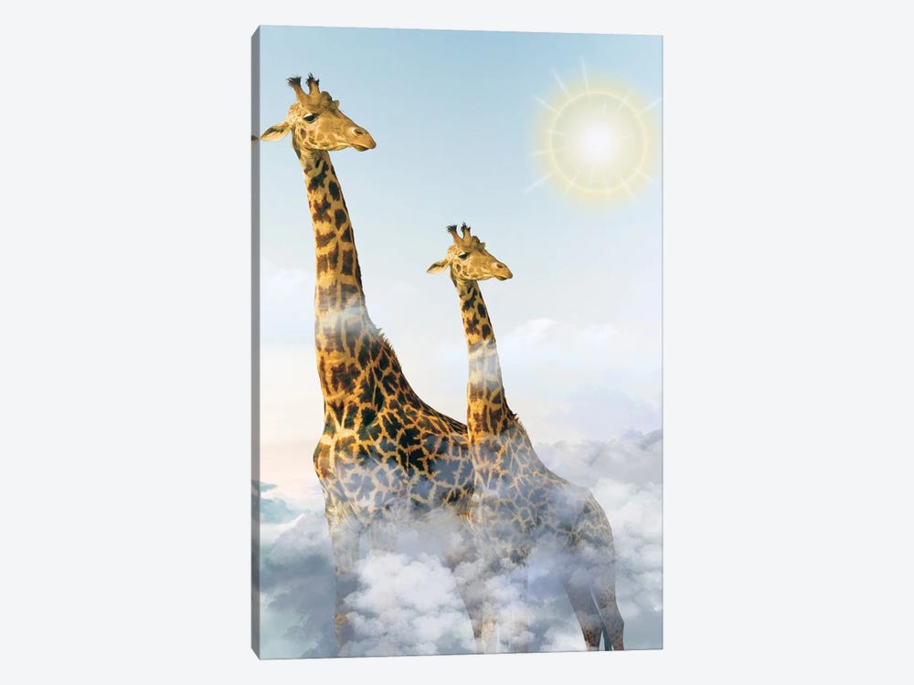 Giraffes And Clouds by Edson Ramos 1-piece Canvas Print