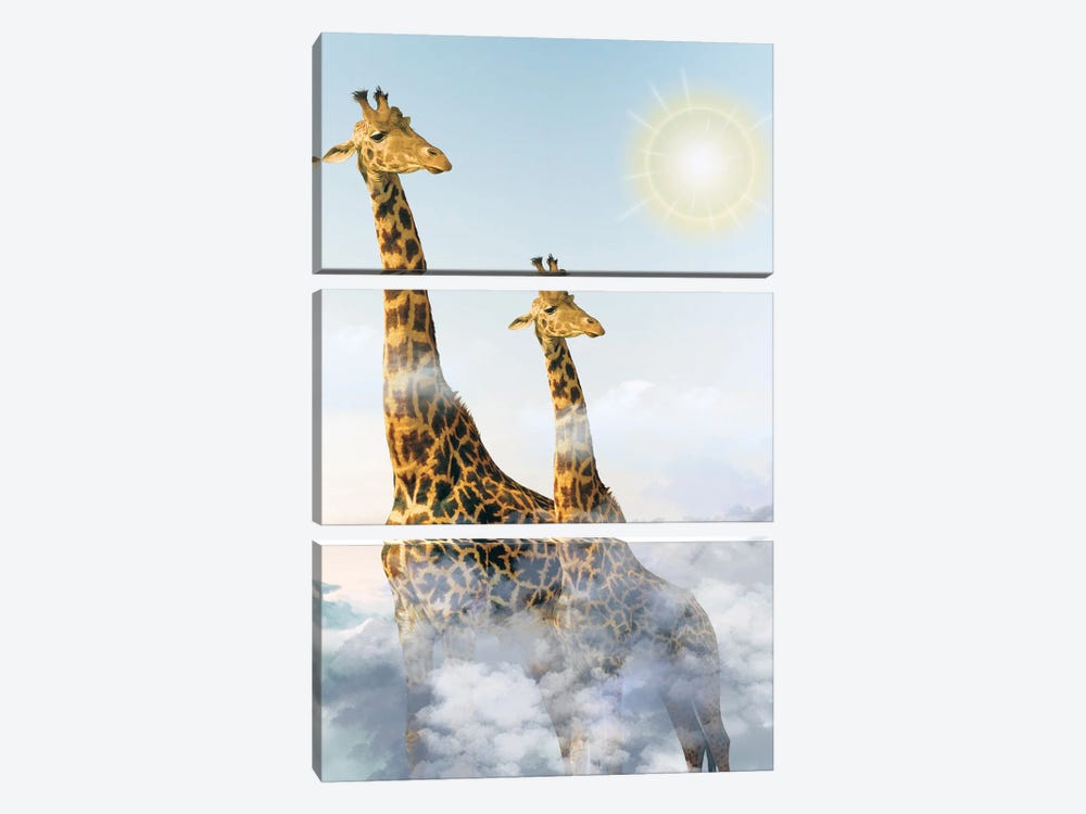 Giraffes And Clouds by Edson Ramos 3-piece Art Print