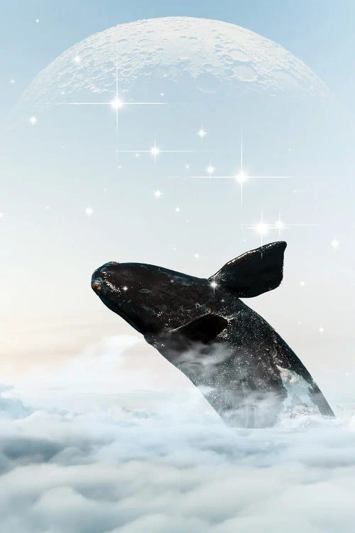 Whale In The Sky