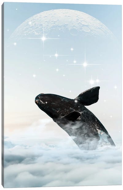 Whale In The Sky Canvas Art Print - Edson Ramos