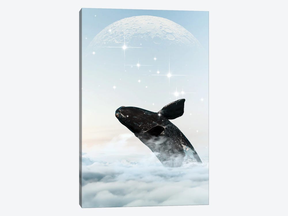 Whale In The Sky by Edson Ramos 1-piece Canvas Print