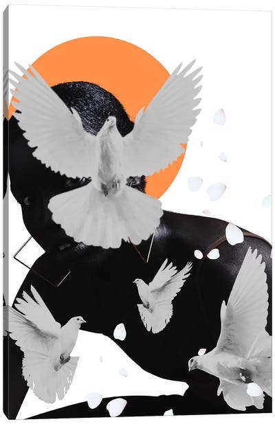 Doves Canvas Art Print - Dove & Pigeon Art