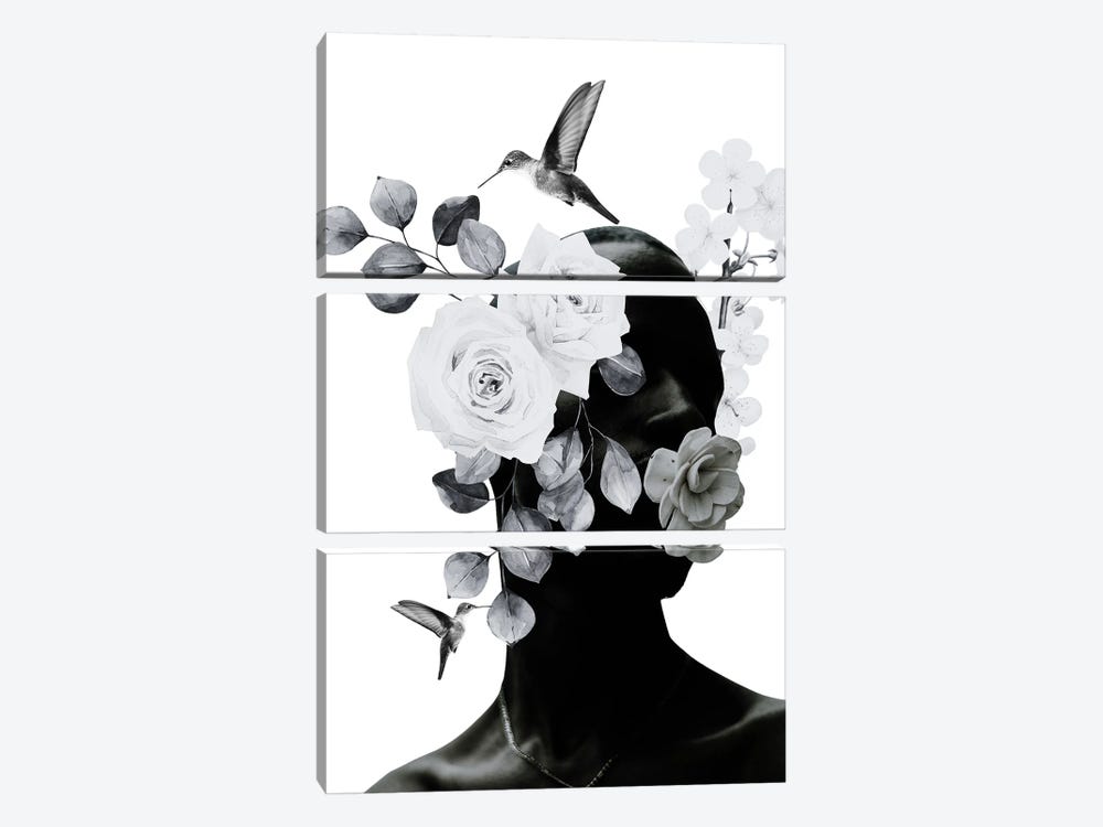 Black Beauty Collage by Edson Ramos 3-piece Canvas Wall Art