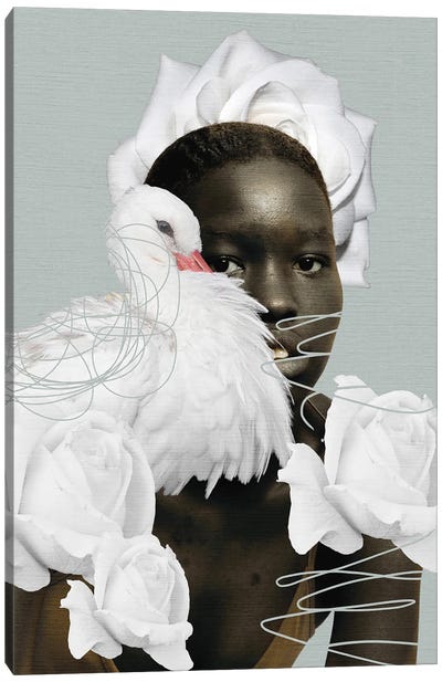 Swan And White Roses Canvas Art Print - Swan Art