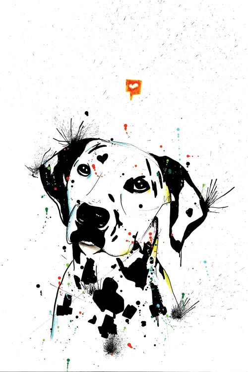 Dalmatian Dog