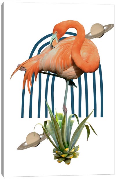 Flamingo Collage Canvas Art Print - Planet Art