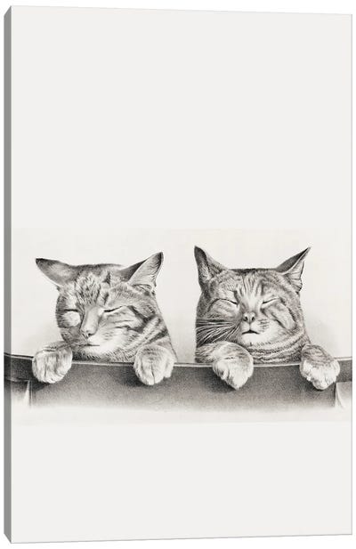 Cute Cat Canvas Art Print - Edson Ramos