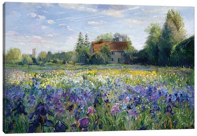 Evening At The Iris Field Canvas Art Print - Large Scenic & Landscape Art