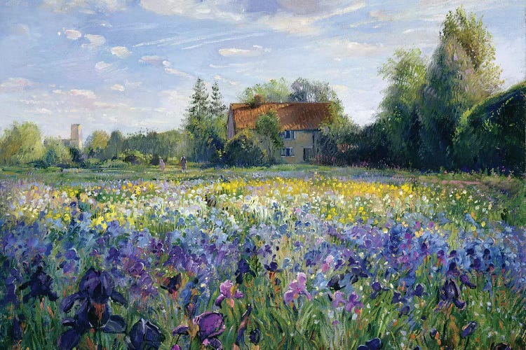 Evening At The Iris Field