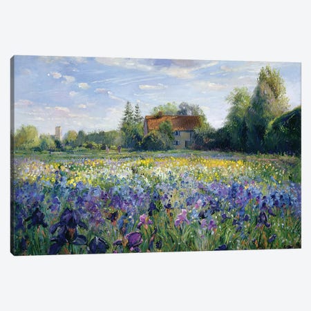 Evening At The Iris Field Canvas Print #EST10} by Timothy Easton Canvas Art Print