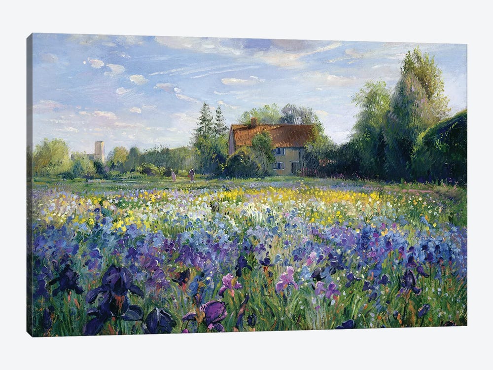 Evening At The Iris Field by Timothy Easton 1-piece Canvas Print