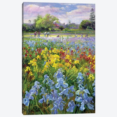 Hoeing Team And Iris Fields, 1993 Canvas Print #EST11} by Timothy Easton Canvas Print