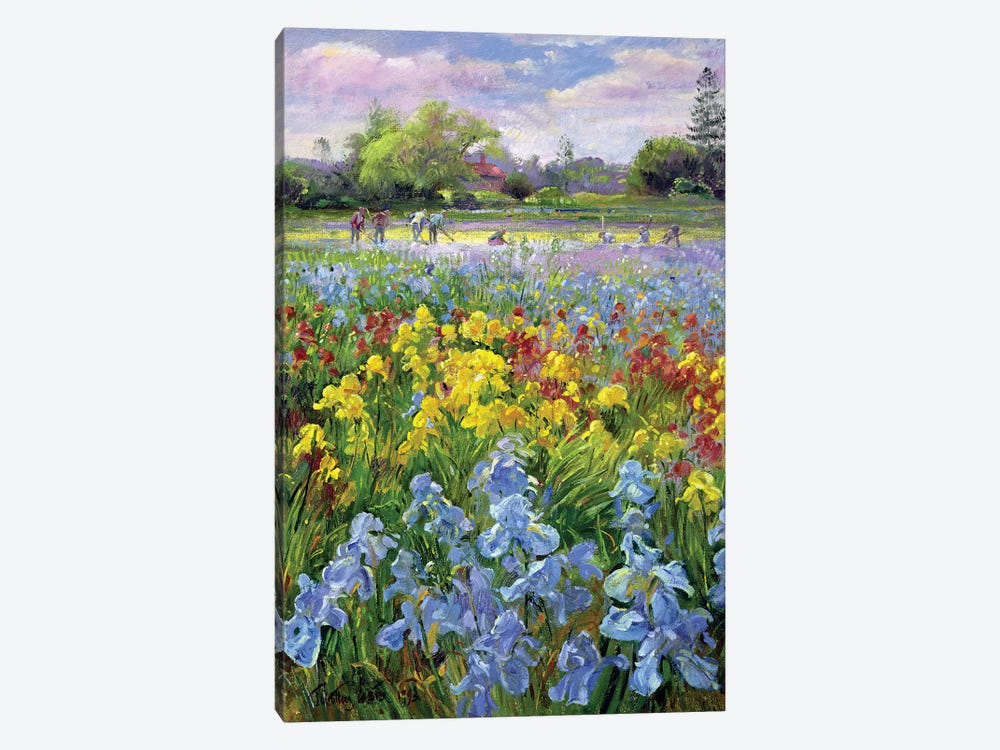 Hoeing Team And Iris Fields, 1993 by Timothy Easton 1-piece Canvas Wall Art