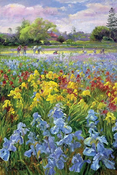 Detailed Oil Painters: Hoeing Team And Iris Fields, 1993 by Timothy Easton