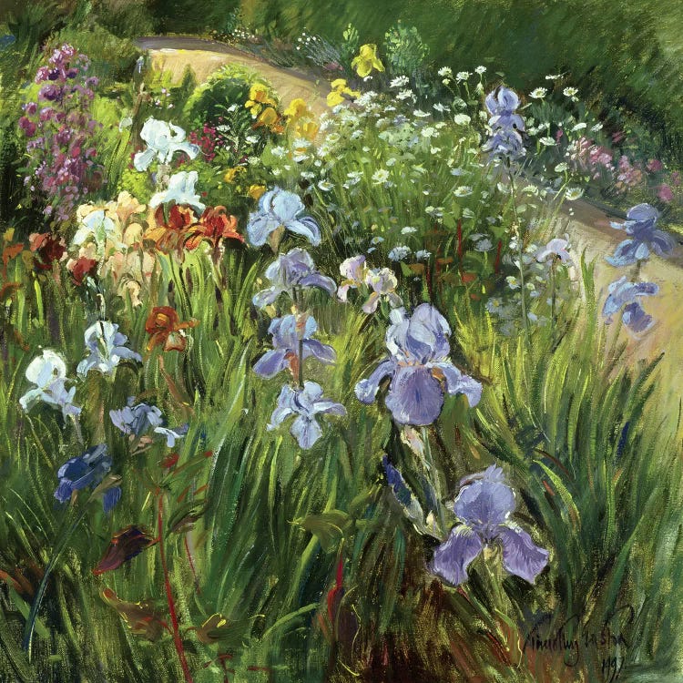 Irises And Oxeye Daisies by Timothy Easton wall art