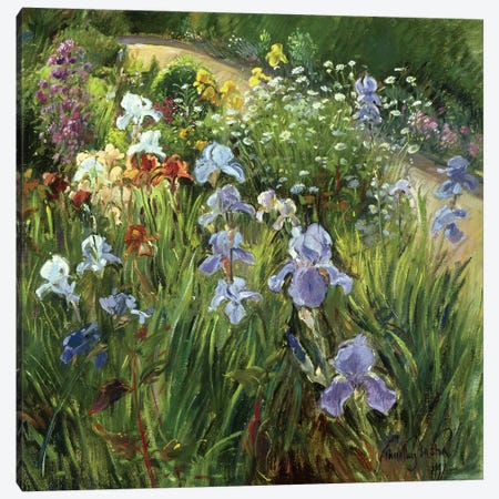 Irises And Oxeye Daisies Canvas Print #EST12} by Timothy Easton Art Print