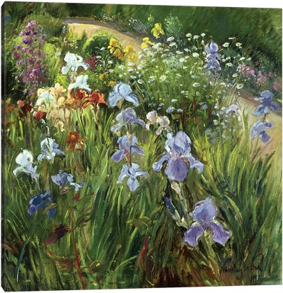 Irises And Oxeye Daisies Canvas Art Print - Garden & Floral Landscape Art