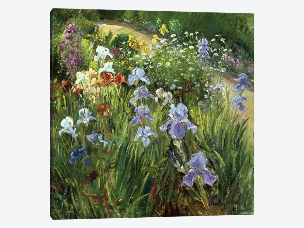 Irises And Oxeye Daisies by Timothy Easton 1-piece Canvas Print