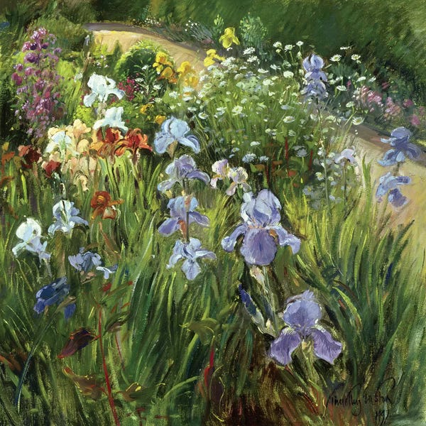 Gardens & Floral Landscapes: Irises And Oxeye Daisies by Timothy Easton