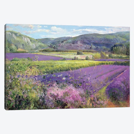 Lavender Fields In Old Provence Canvas Print #EST14} by Timothy Easton Canvas Art