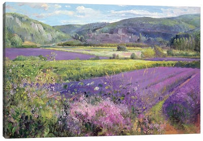 Lavender Fields In Old Provence Canvas Art Print - Garden & Floral Landscape Art