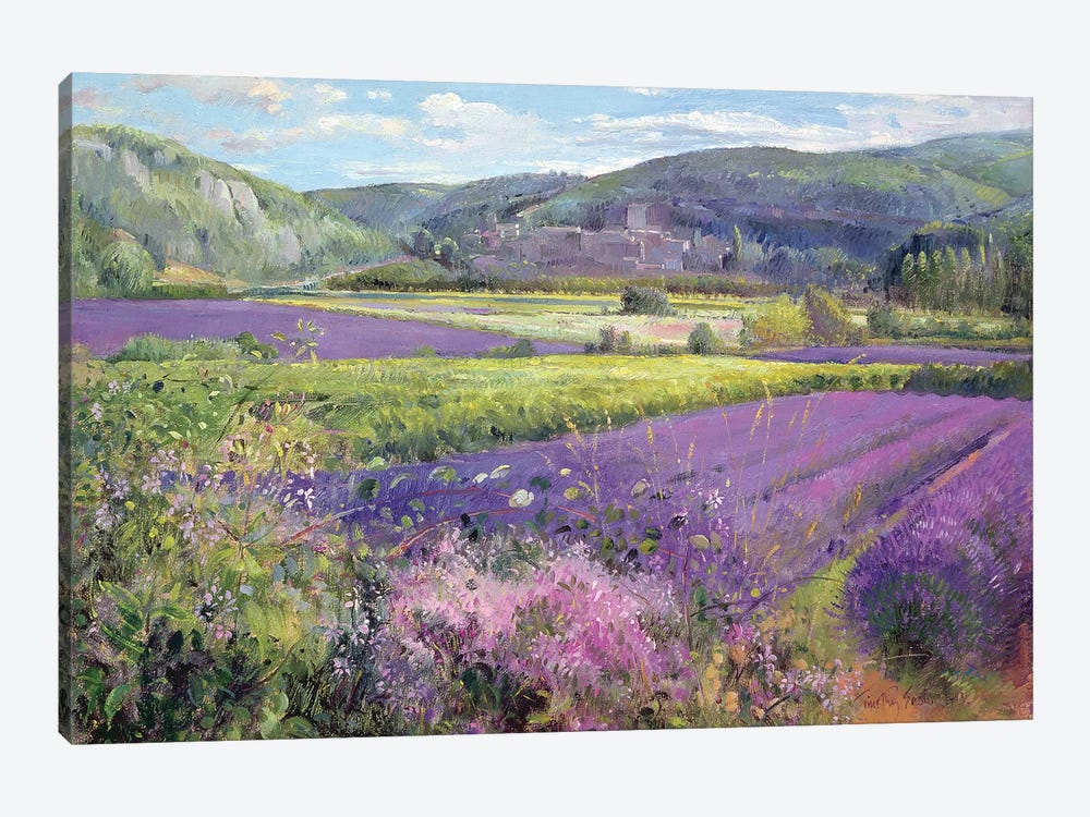 Lavender Fields In Old Provence by Timothy Easton 1-piece Art Print