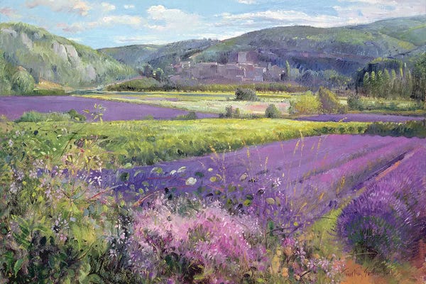 Herbs: Lavender Fields In Old Provence by Timothy Easton
