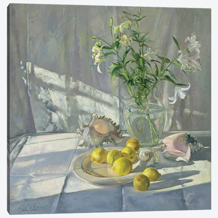 Reflections And Shadows Canvas Print #EST18} by Timothy Easton Art Print