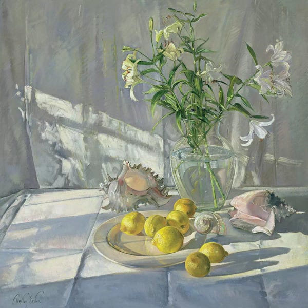 Ombres et Lumières: Reflections And Shadows by Timothy Easton